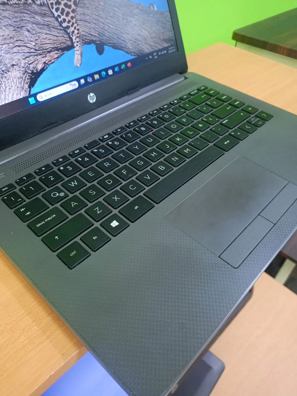 HP AMD 3020 imagen 3